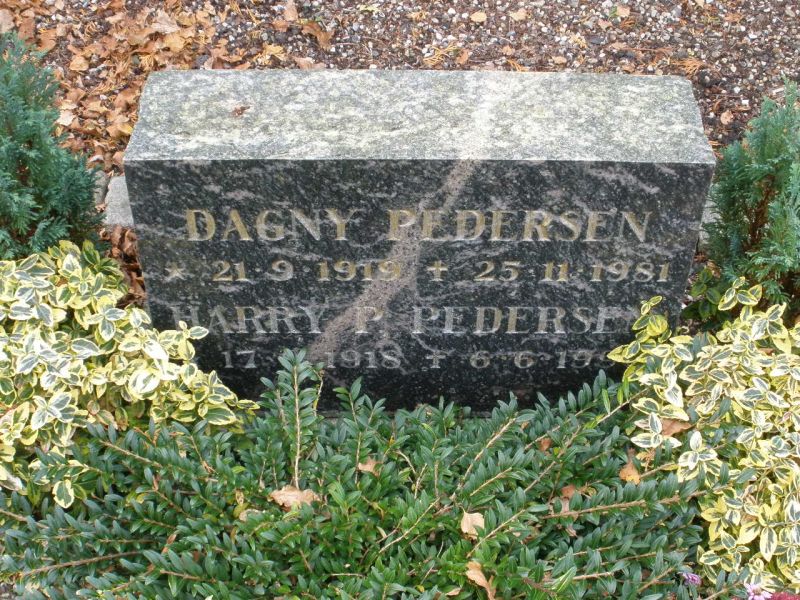 Harry P. Pedersen.JPG